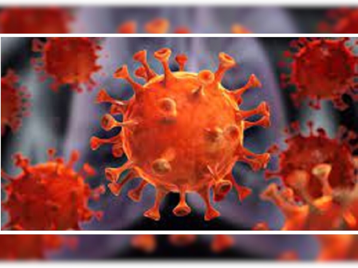 Corona Virus | कोरोनाच्या संसर्गाने २ आयएएस अधिकाऱ्यांचाही मृत्यू title=