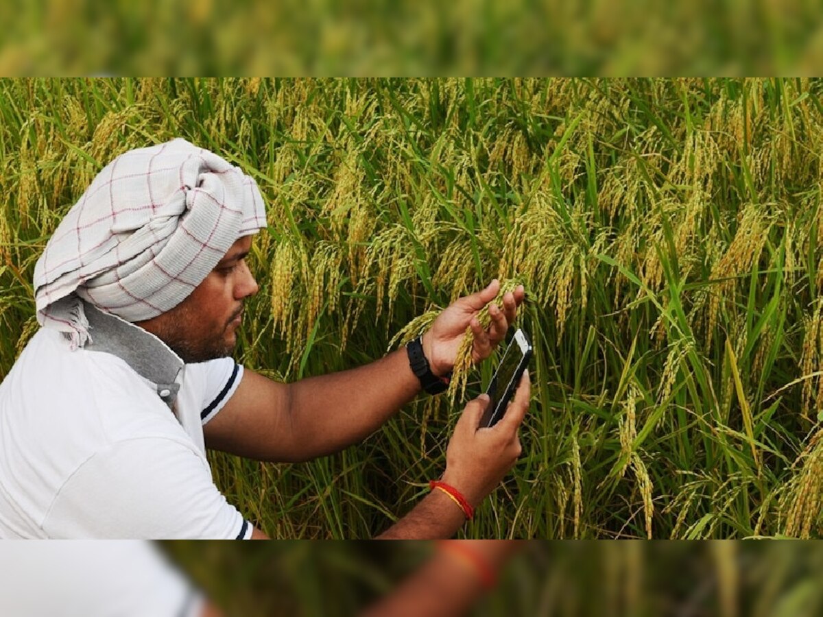 PM kisan Scheme | लवकरच शेतकऱ्यांच्या खात्यात पैसे जमा होणार; बँलेन्स चेक करण्यासाठी क्लिक करा  title=