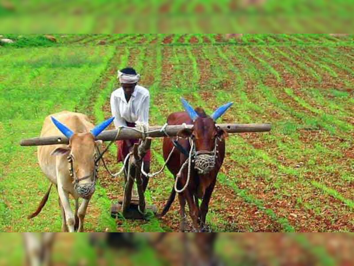 PM Kisan : शेतकऱ्यांच्या खात्यात कधी जमा होणार ८ वा हप्ता? title=