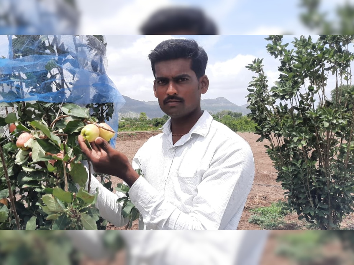 Farmer success story : डाळींबाच्या माहेरघरात फुलली सफरचंदाची बाग title=