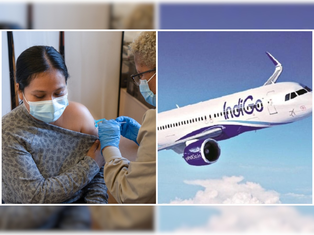 व्हॅक्सीन घेतलेल्या व्यक्तींसाठी Indigo ची धमाकेदार ऑफर; मिळणार एवढं डिस्काऊंट title=