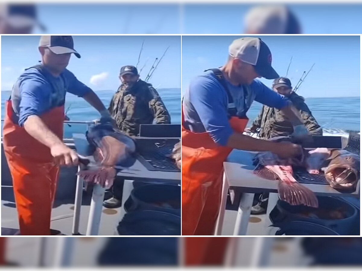 Viral video : माशाच्या पोटात, या माणसाला असा जॅकपॉट लागला, तो लखपती तर नाही झाला पण........ title=