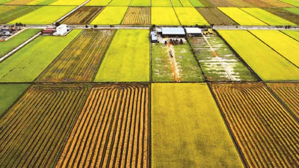 land issue, if someone is occupied my land, can i still claim it? know