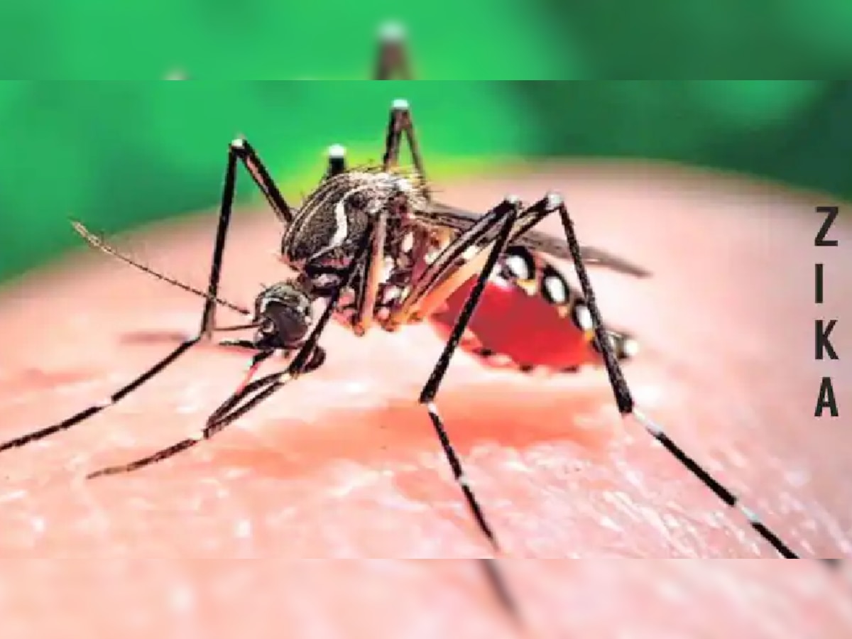  Zika Virus: केरळमध्ये सापडलं झिकाचं पहिलं प्रकरण, वाचा लक्षणं title=