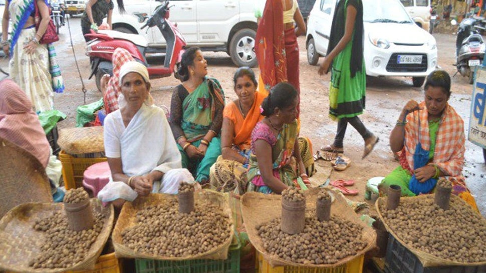 Chhattisgarh: India's most expensive Sarai Boda vegetable