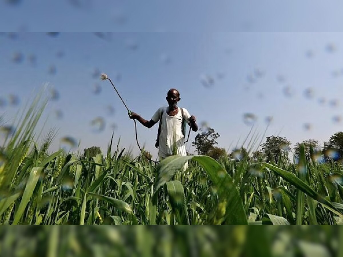 शेतकऱ्यांसाठी आनंदाची बातमी, पिकविम्यासाठी २३ जुलैपर्यंत मुदतवाढ title=