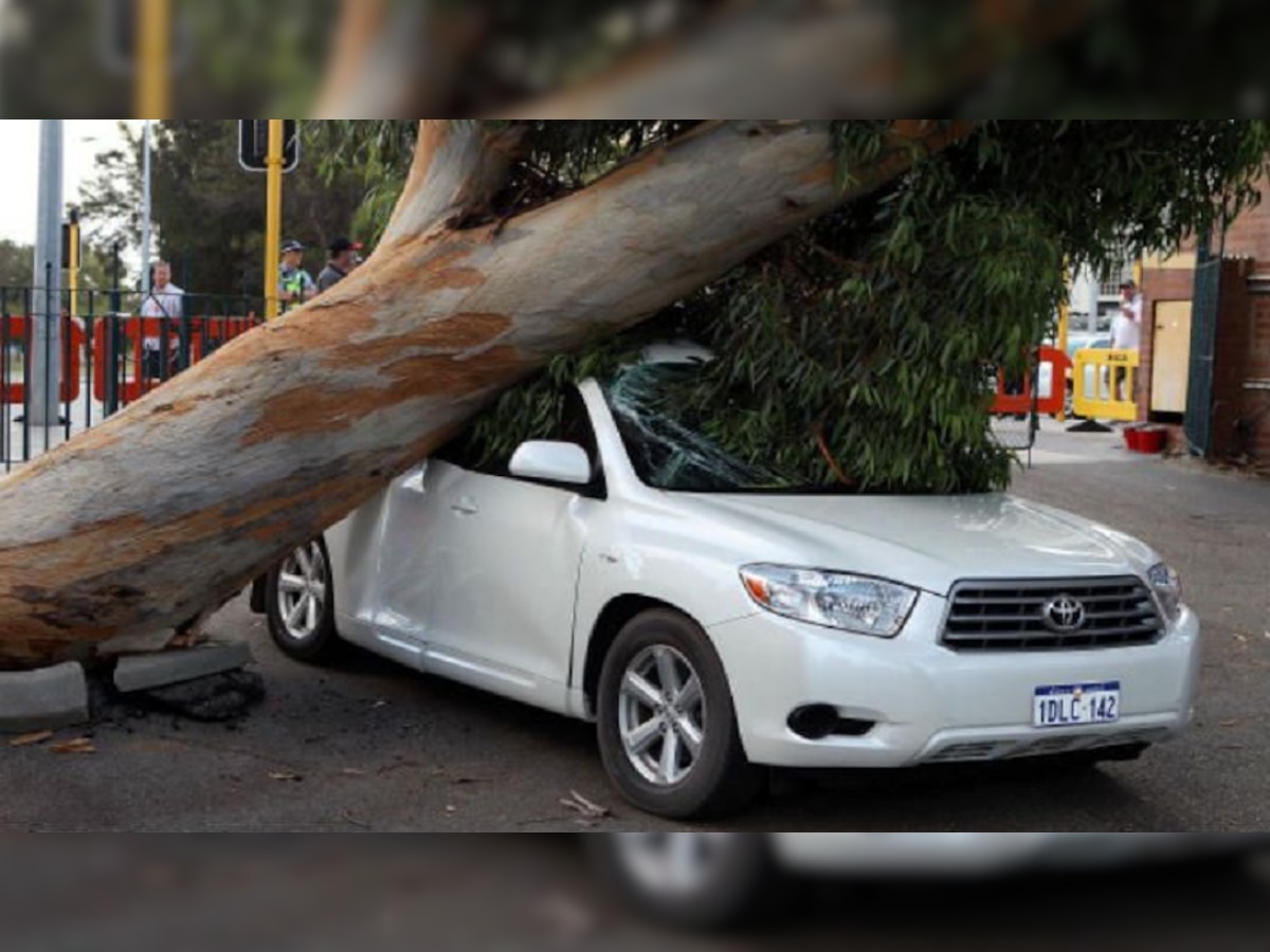 रस्त्यात उभ्या असलेल्या गाडीवर जर झाड पडलं, तर तुम्हाला Insurance  मिळेल की, नाही? काय आहे नियम जाणून घ्या title=