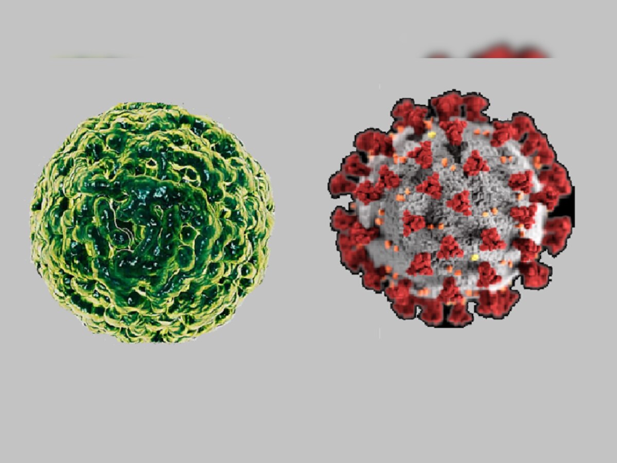 नोरो व्हायरस कोरोना व्हायरस पेक्षा घातक आहे का?  title=