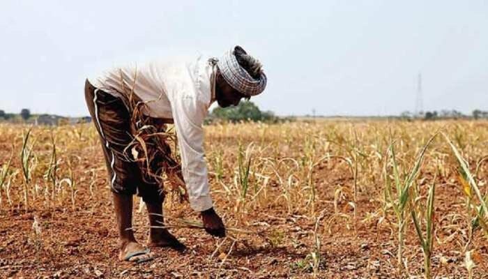 IMD weather Update Heavy rainfall in vidarbha and marathwada from 16 aug Rain updates IMD news - Vimarsana News