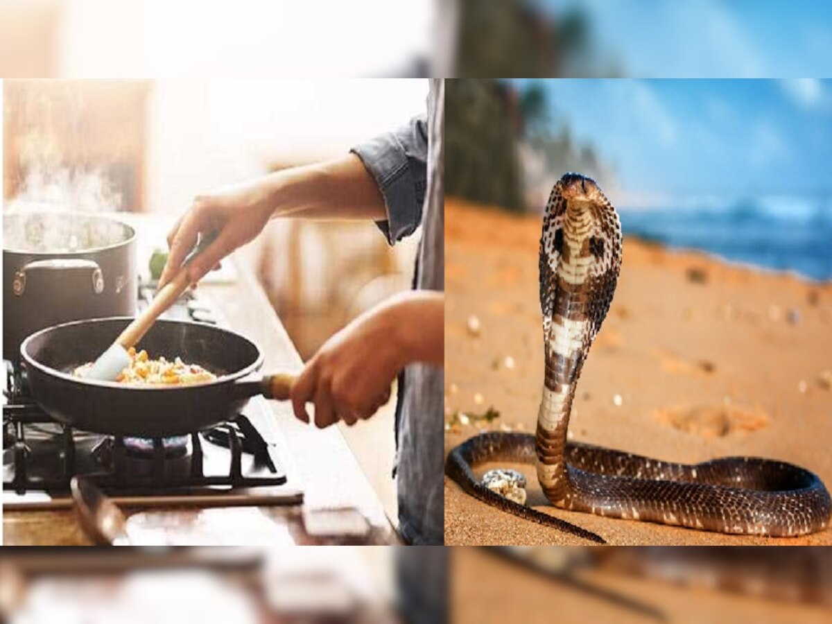 China: नेहमीप्रमाणे सूप बनवण्यासाठी कापला कोबरा, पण यावेळी कूकचा मृत्यू title=