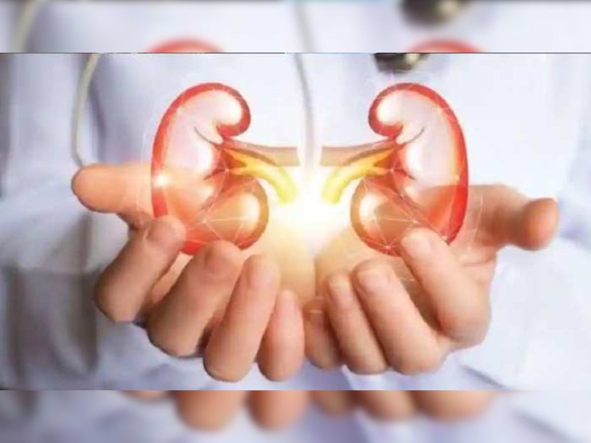 Kidney Health: किडनीची खास काळजी घेतात हे या ५ गोष्टी title=