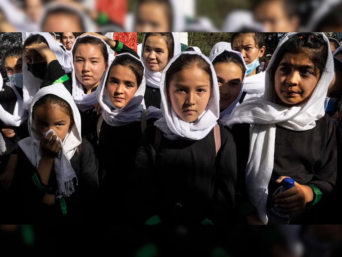 सत्तेत येताच अफगानिस्तानने काढला पहिला आदेश, मुलींना आता पुरुष शिक्षक... title=