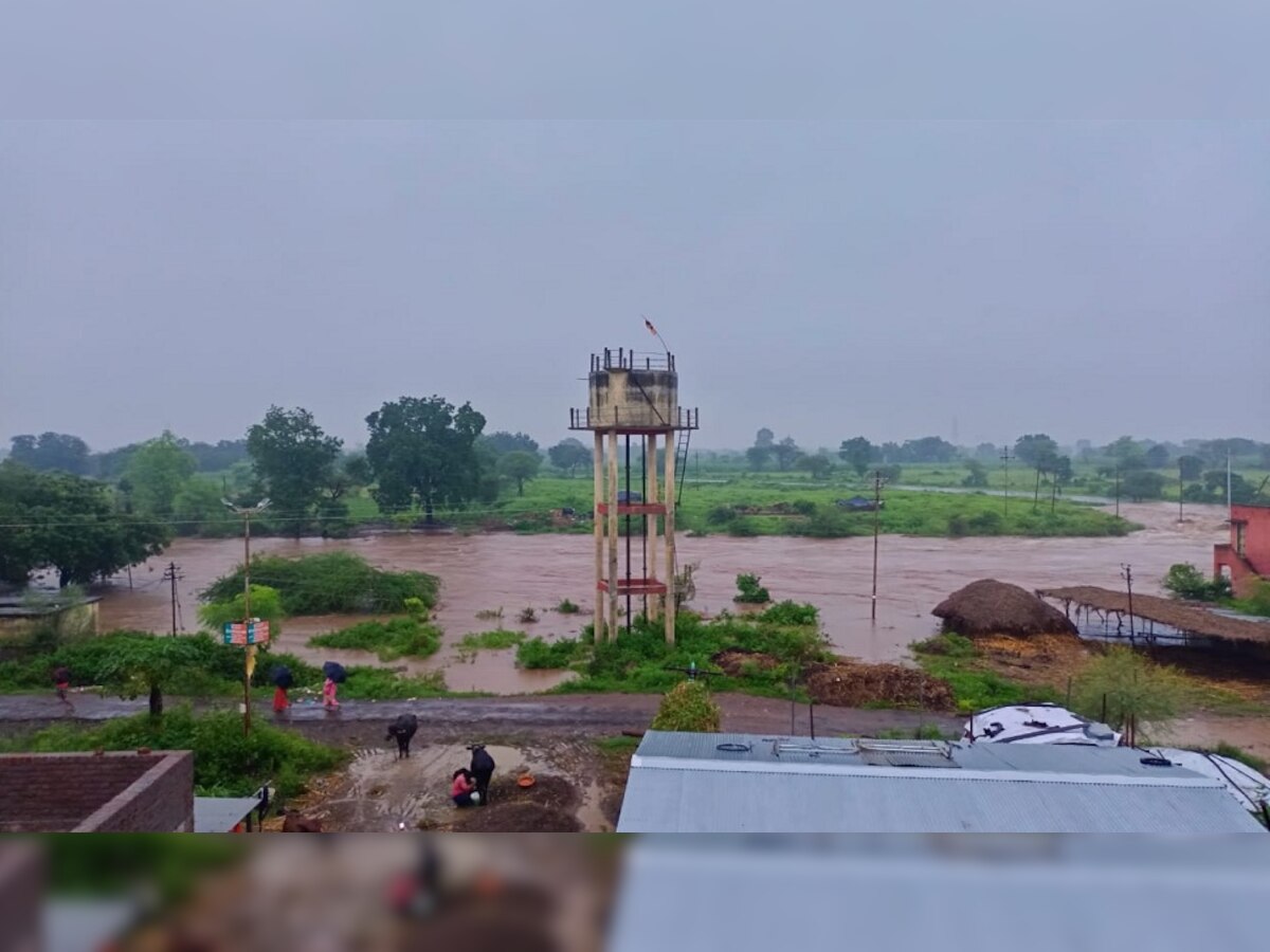 महाराष्ट्रातील 'या' जिल्ह्यात ढगफुटीमुळे आलेल्या पुरात सातशे ते आठशे जनावरे वाहून गेली title=