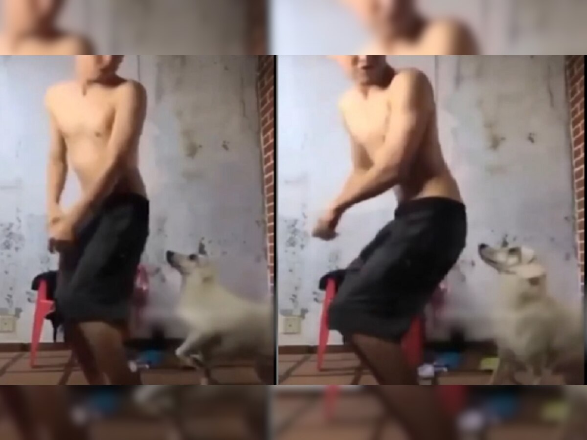कुत्र्यासमोर विचित्र डान्स करणं तरुणाला पडलं महागात, व्हिडीओ title=