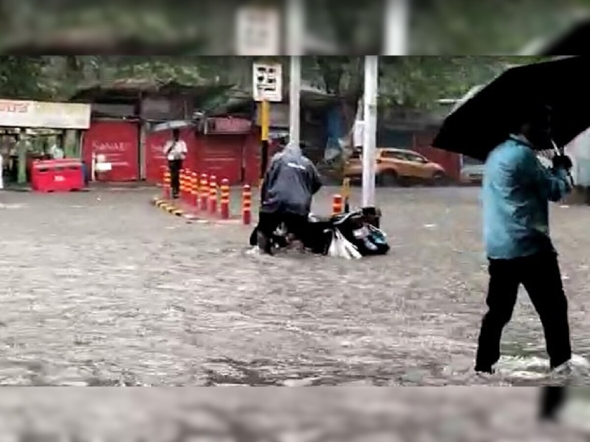 Rain Update | कोकण, पश्चिम महाराष्ट्र, मराठवाड्यात पावसाचा जोर वाढला; यंत्रणा अलर्ट title=