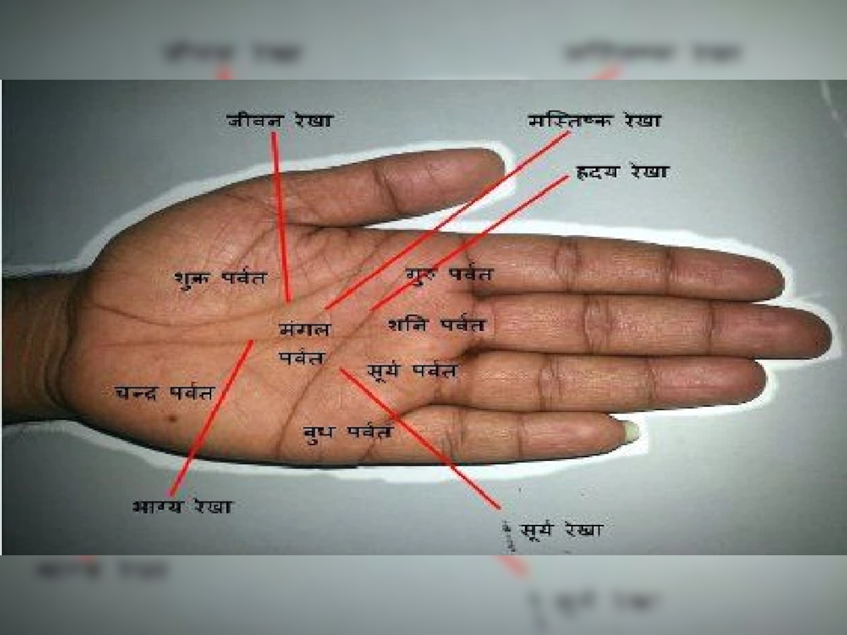 Palmistry | हातावरील भाग्य रेषावरून मिळतात संकेत, कोणत्या क्षेत्रात मिळणार यश? title=