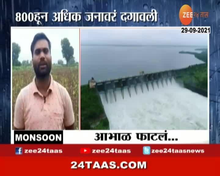 Amravati Farmer On Crop Loss From Heavy Rainfall