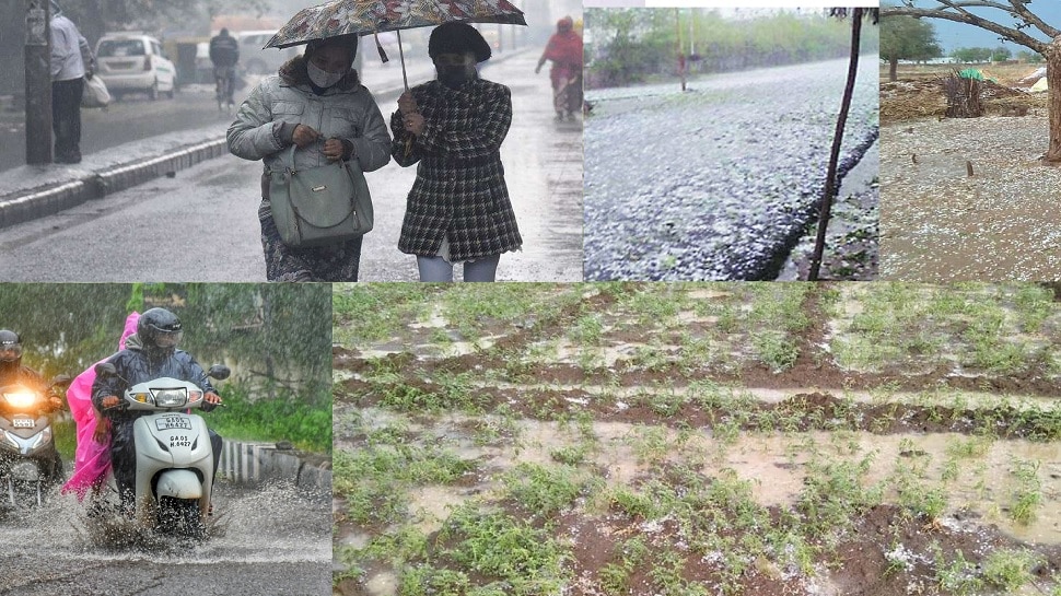 राज्यातील 'या' जिल्ह्यात जोरदार गारपीट, द्राक्ष - मका पिकांचे मोठे नुकसान राज्यातील 'या' जिल्ह्यात जोरदार गारपीट, द्राक्ष - मका पिकांचे मोठे नुकसान