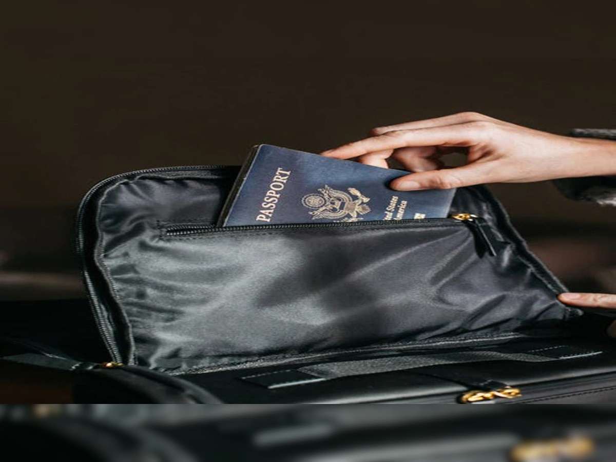 कोणत्या देशाच्या पासपोर्टला जगभरात वजन; जाणून घ्या  title=