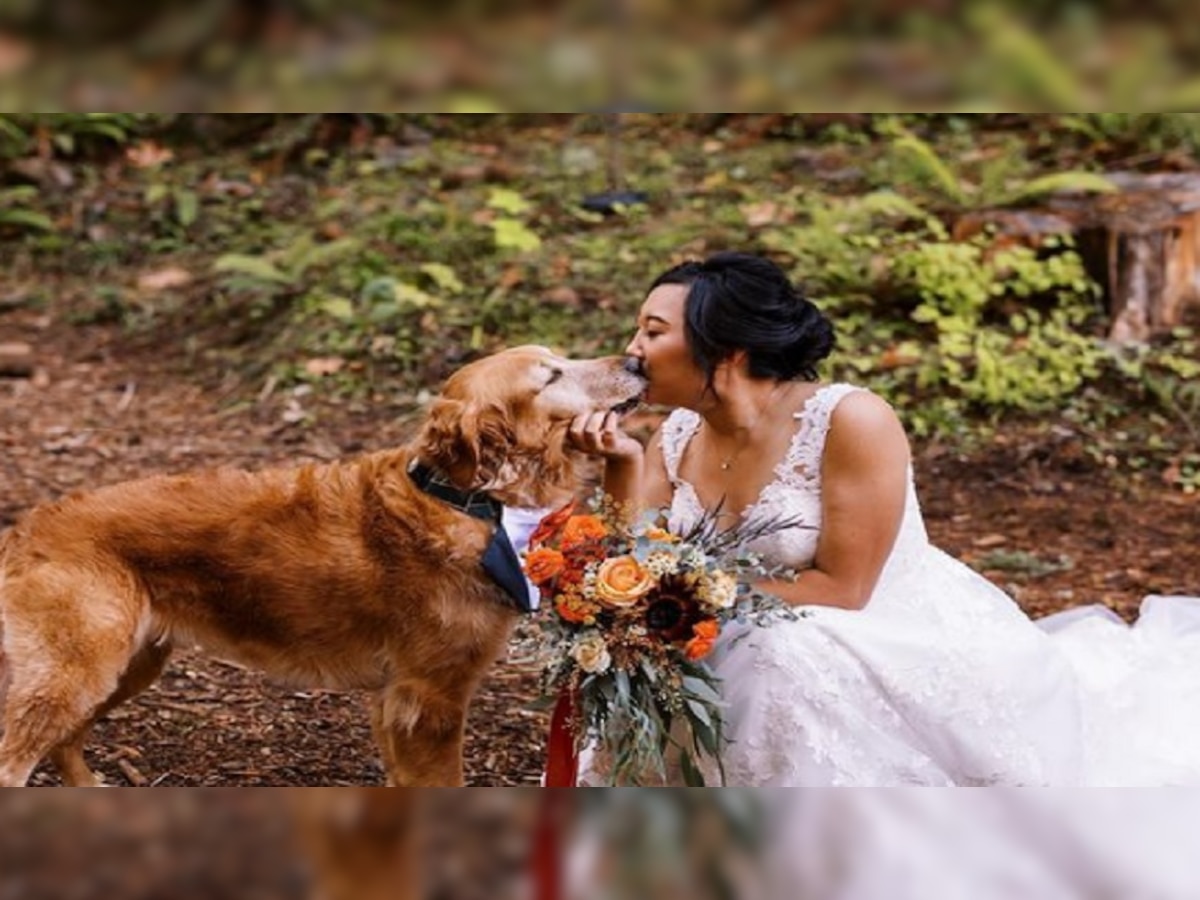 OMG! चक्क कुत्र्यासोबत महिलेचं Wedding Photoshoot, पाहा फोटो title=