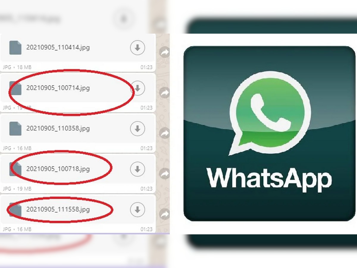 WhatsAppवर कागदपत्रे पाठवताना नंबर का येतात? यामुळे तुम्हाला बरेच काही कळू शकते title=