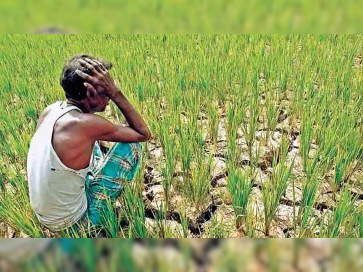 महावितरणचा शेतकऱ्यांना मोठा दणका; आताच सावध व्हा  title=