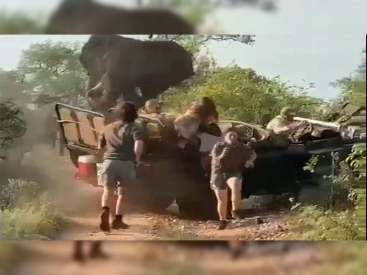 VIDEO : पर्यटकांवर हत्तीचा भयाण हल्ला, व्हिडीओ पाहून बसेल धडकी  title=
