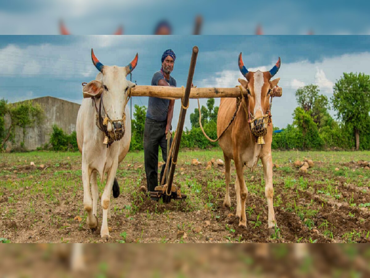 Pm Kisan Yojana | मोदी सरकारची शेतकऱ्यांना मोठी भेट; लवकरच खात्यात जमा होणार पैसे title=