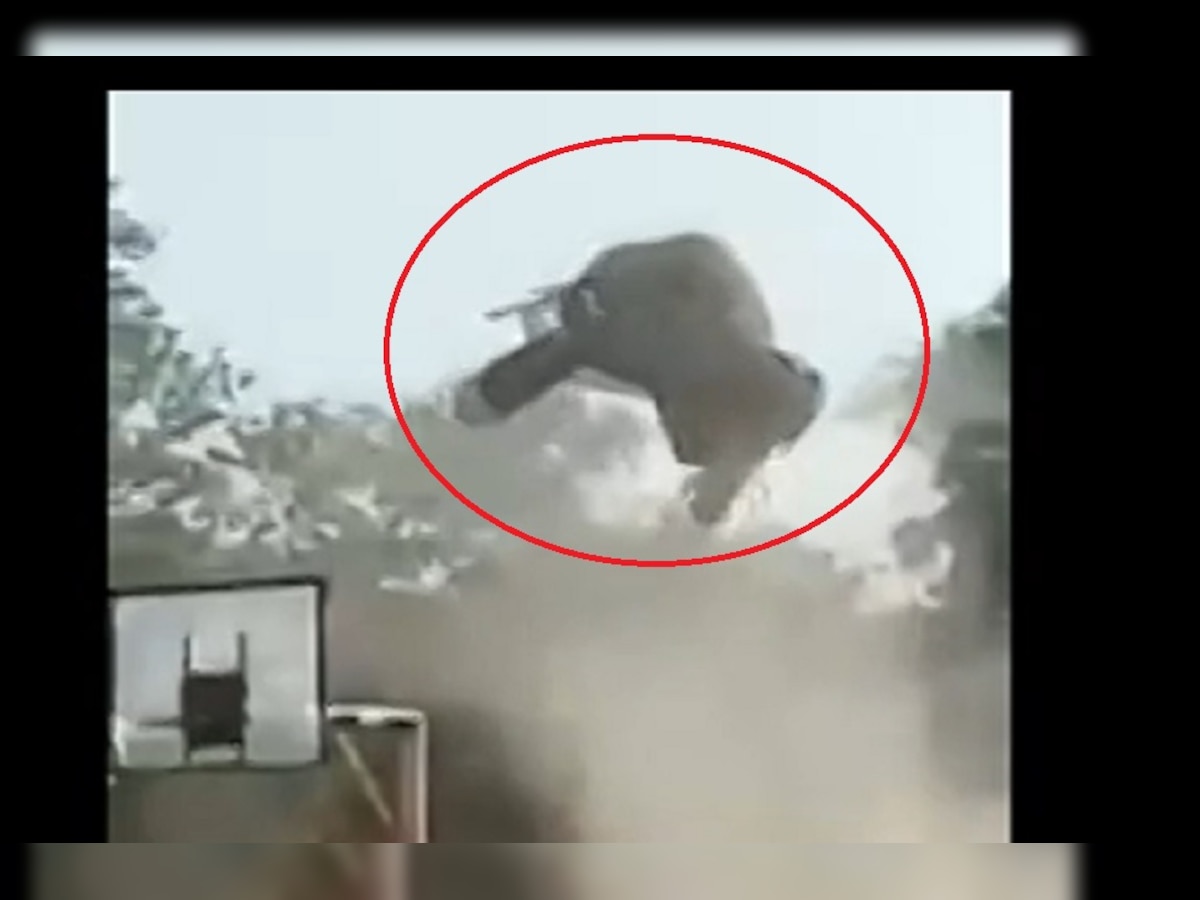 हवेत उडणारा हा हत्ती खरा की खोटा....पाहा व्हायरल व्हिडीओमागचं सत्य title=