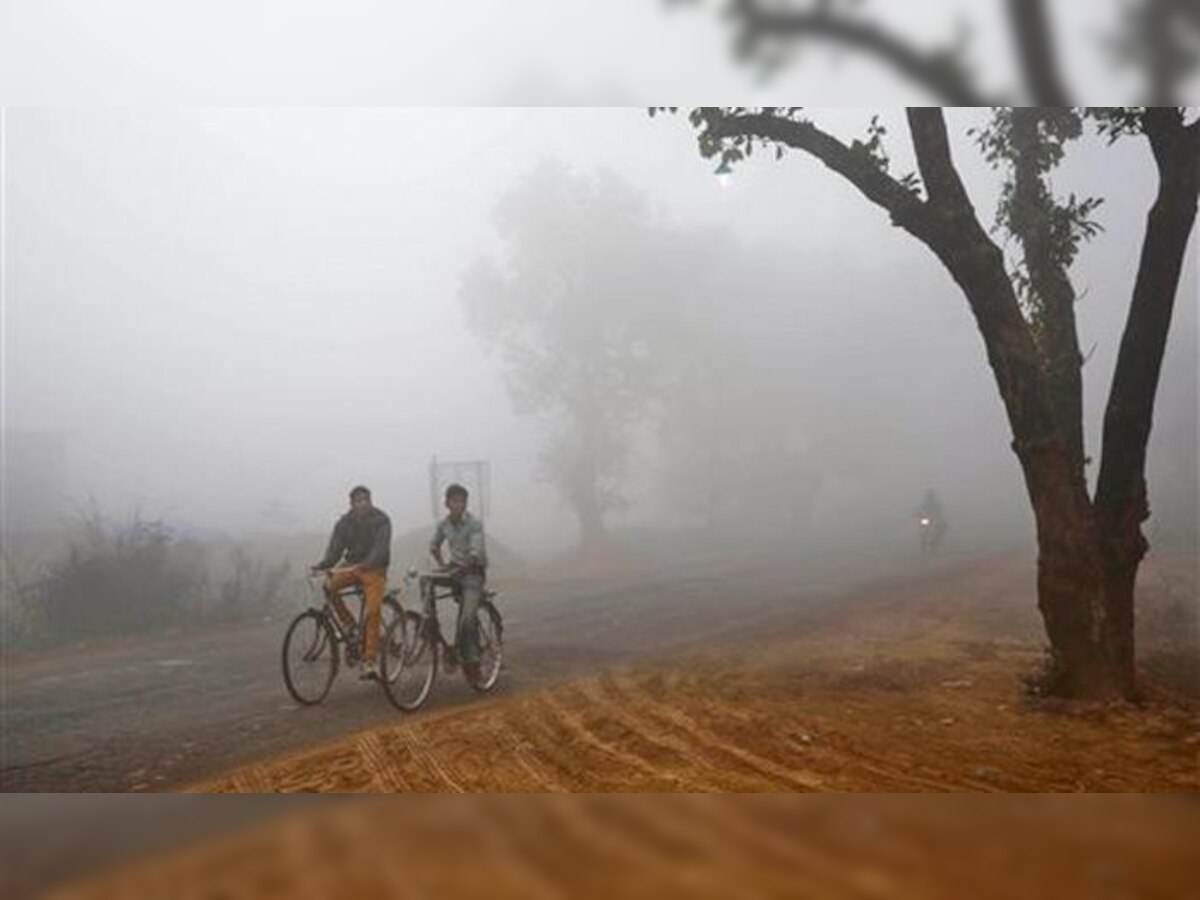 महाराष्ट्रात थंडीची लाट... दोन दिवसांत तापमानात आणखी घट होण्याचा अंदाज title=