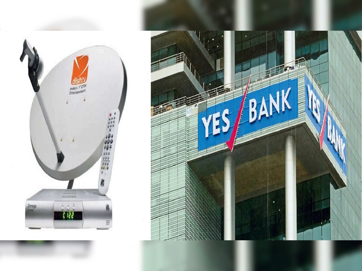 Dish TV ची Yes Bank विरोधात मुंबई हायकोर्टात धाव, शेअर ट्रान्सफर न करण्याची मागणी  title=
