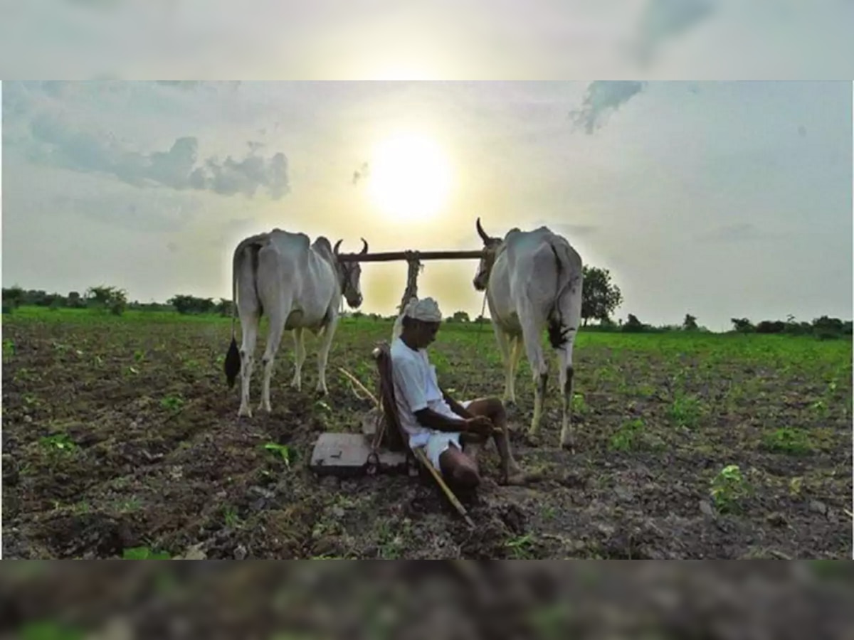 Nashik | राज्यात मोठा कृषी घोटाळा उघड; खोट्या निविदा काढून कोट्यवधींची लूट title=