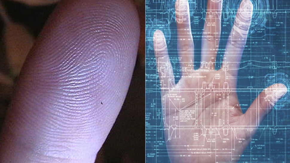 Knowledge news Fact About Fingerprints does your Fingerprints change if