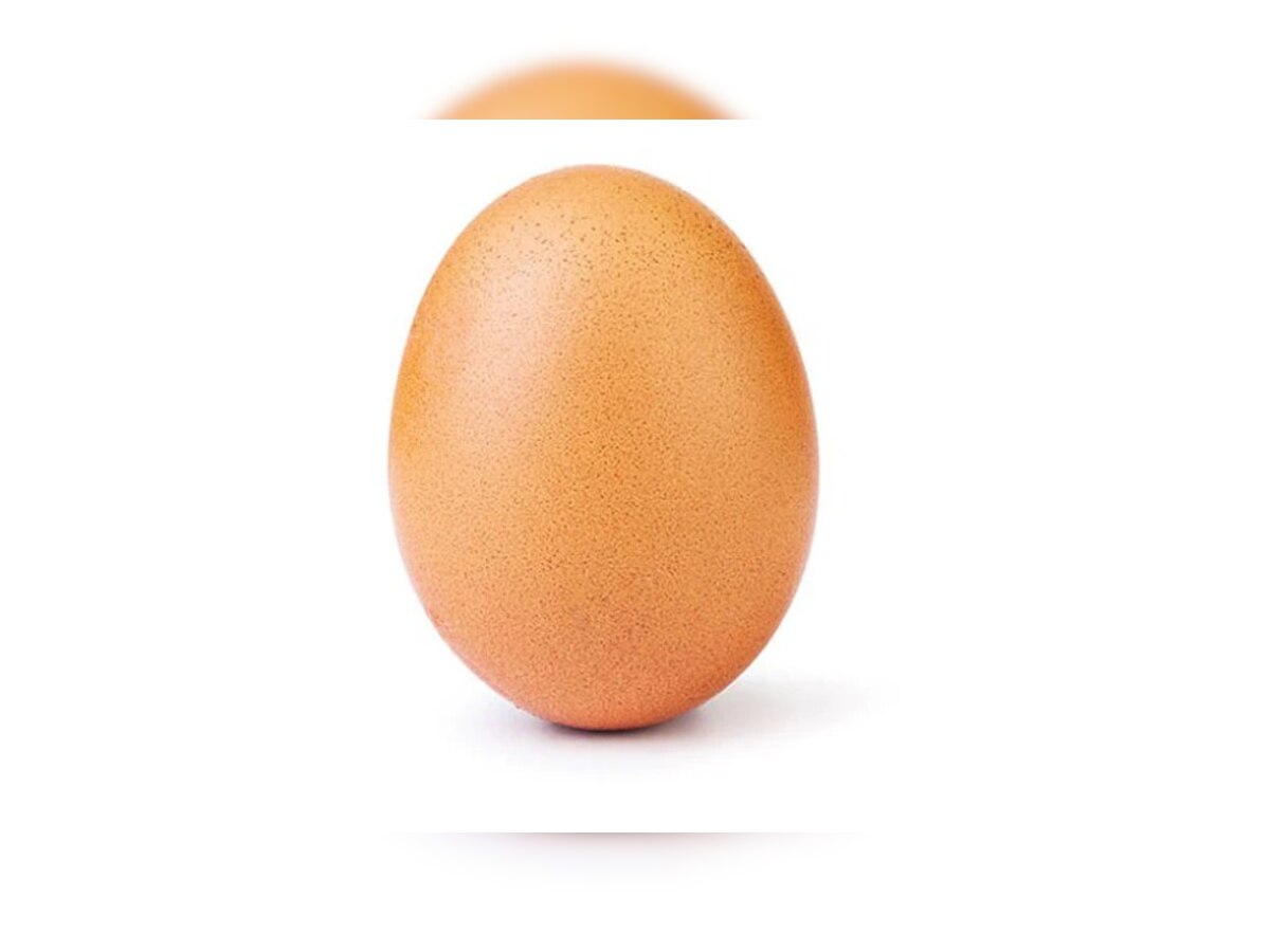 अंड्याच्या या फोटोची जगभरात चर्चा, पण का? या मागील कारण धक्कादायक title=