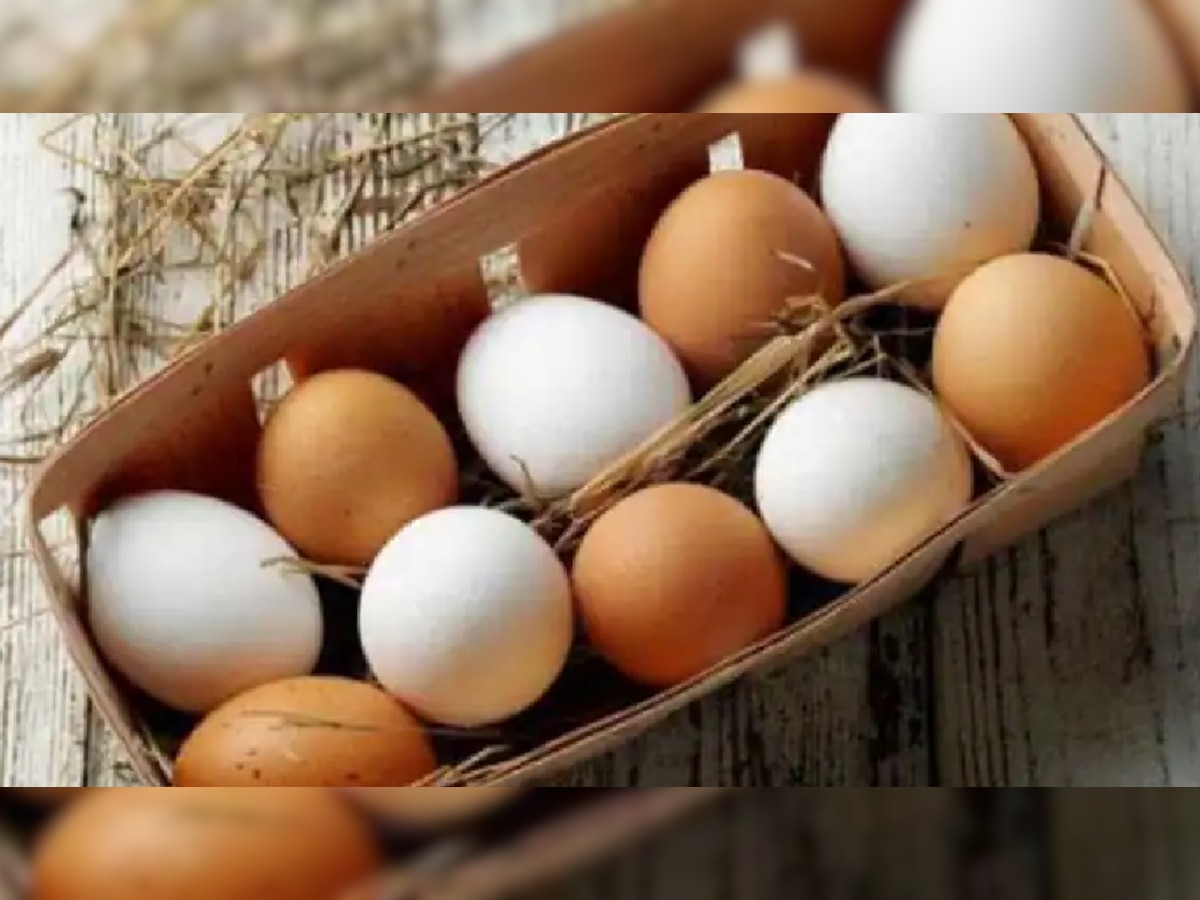 चुकूनंही फ्रिजमध्ये अंडी ठेवू नका; कारण... title=