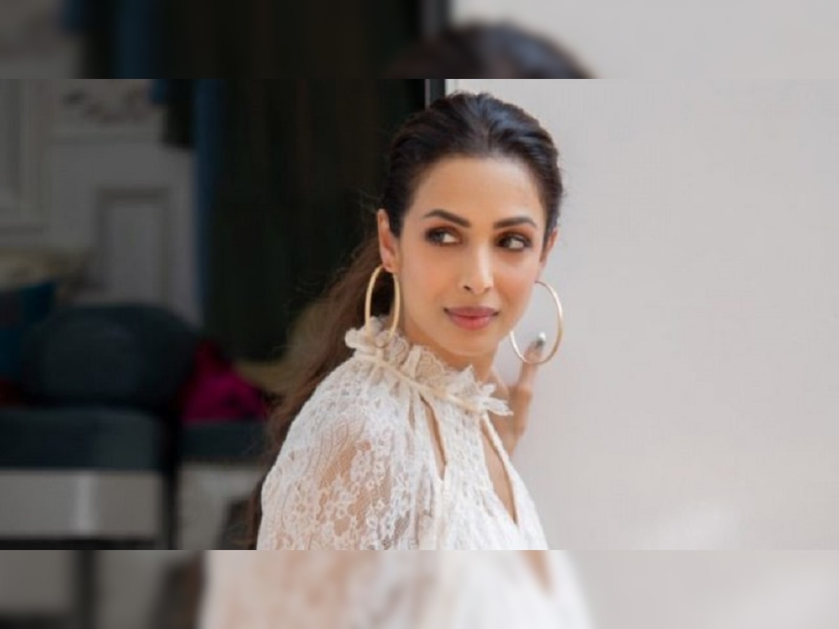 Malaika Arora  आलिशान घराचा लिविंग एरिया दाखवताना कोणाला पाहून दचकली? title=