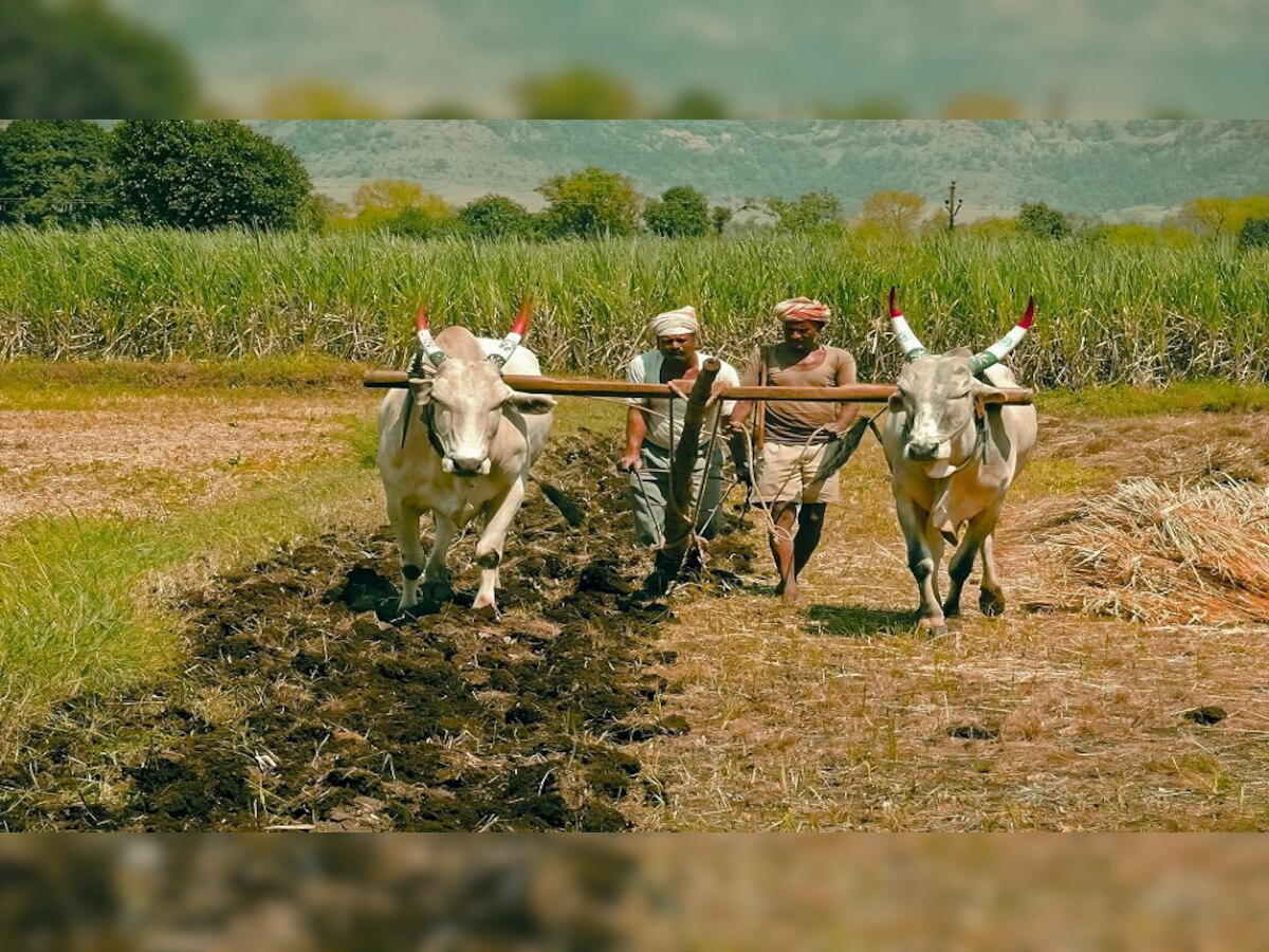 PM Kisan योजनेच्या नियमात मोठा बदल! 'हे' काम न केल्यास होईल नुकसान title=