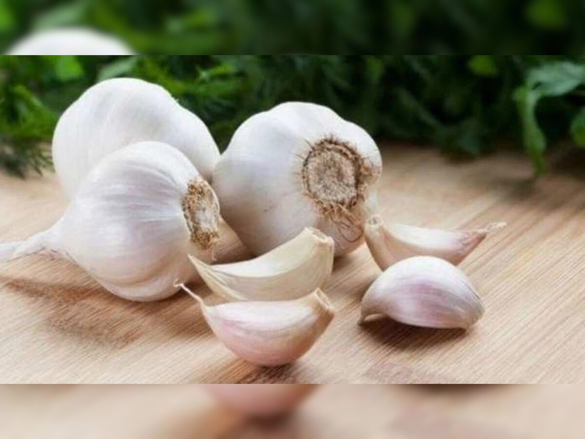 Garlic: सकाळी रिकाम्यापोटी लसूण खा, या 5 मोठ्या समस्यांपासून सुटका  title=