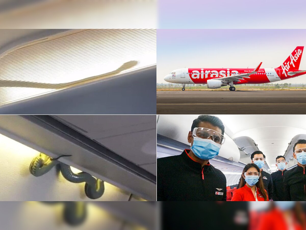 VIDEO : प्रवाशांसोबत विमानात प्रवास करत होता साप, लोकांमध्ये पसरली घबराट title=