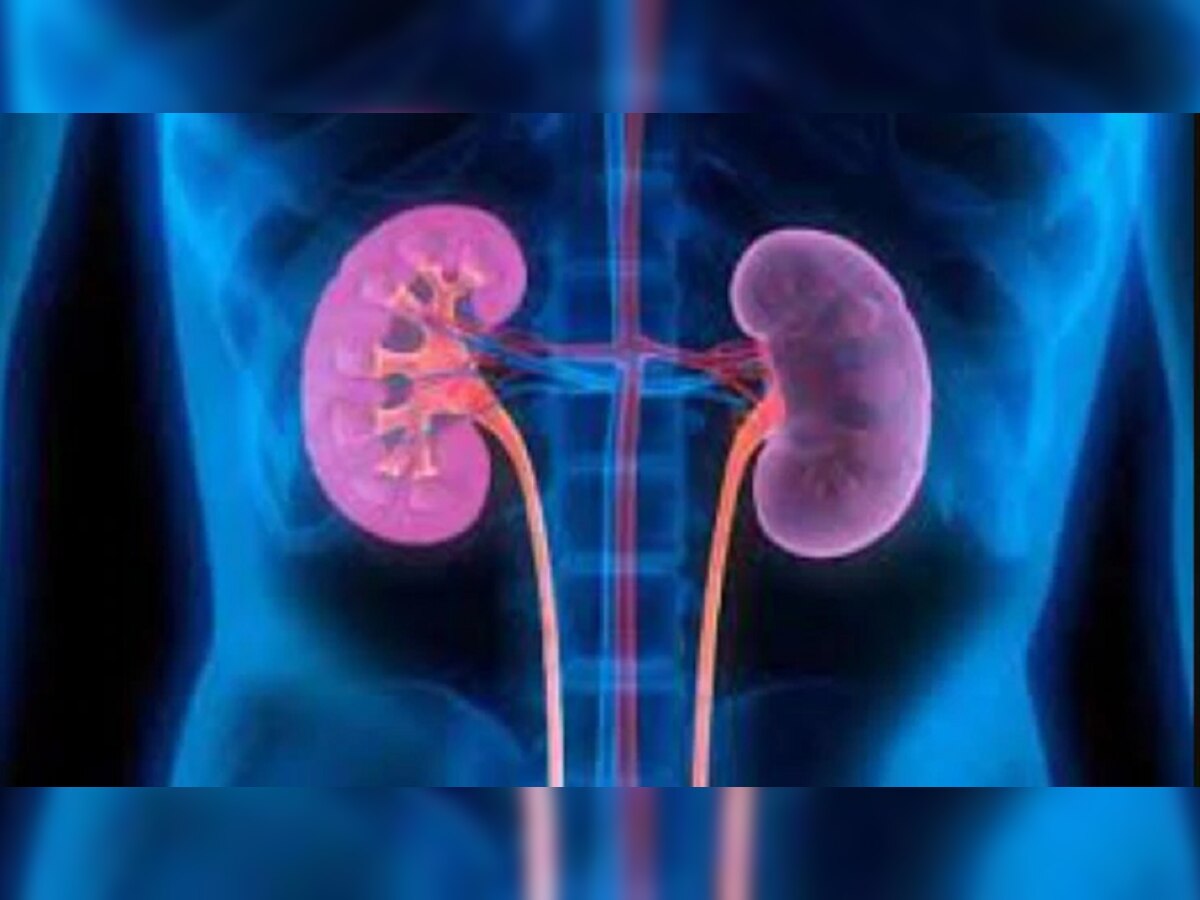 Kidney Disease : किडनी खराब झाल्यावर शरीरात दिसू लागतात ही 5 लक्षणे, जाणून घ्या माहिती title=