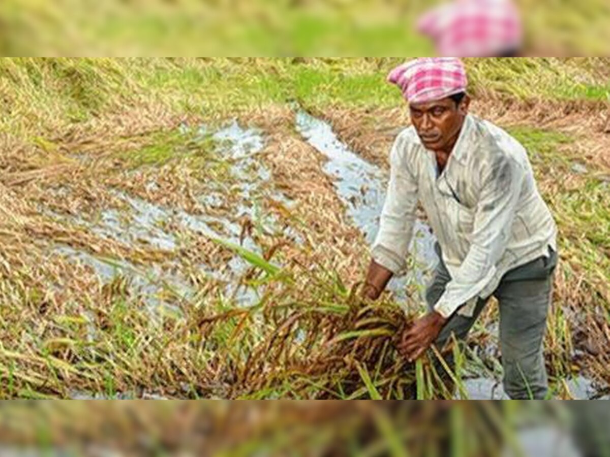   शेतकऱ्यांच्या हातातोंडाशी आलेला घास अवकाळी पावसाने हिरावला... title=