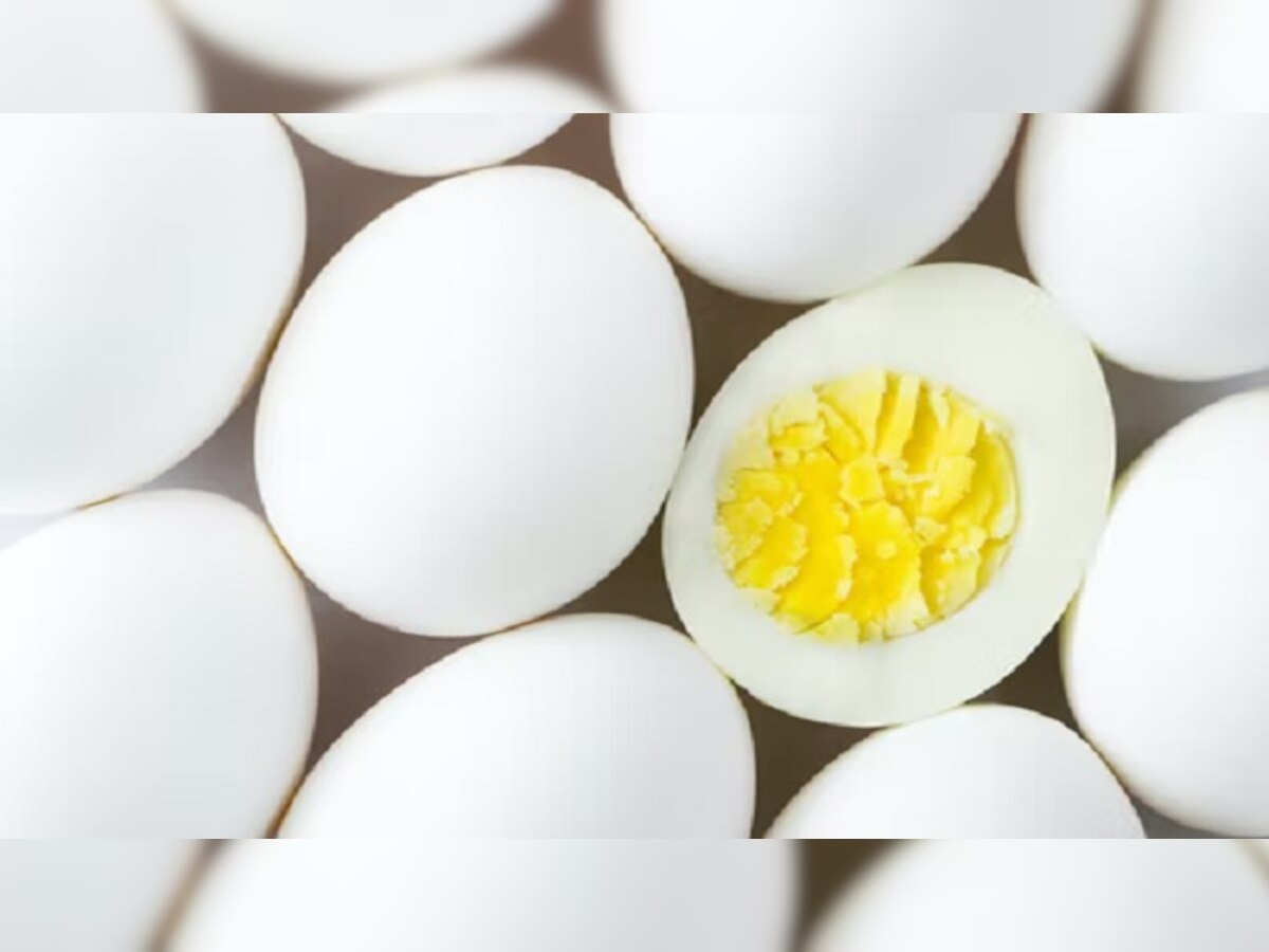 कुक्कुट खाद्याच्या किंमतीत 60 टक्के वाढ.. अंडी महागण्याची शक्यता title=