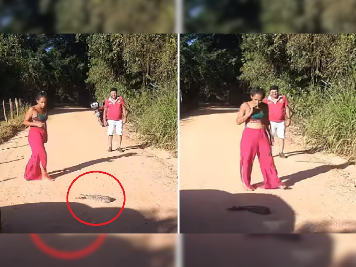 स्टाईल मारत महिला सापासमोर गेली आणि... तिच्यासोबत पुढे काय घडलं पाहा व्हिडीओ title=