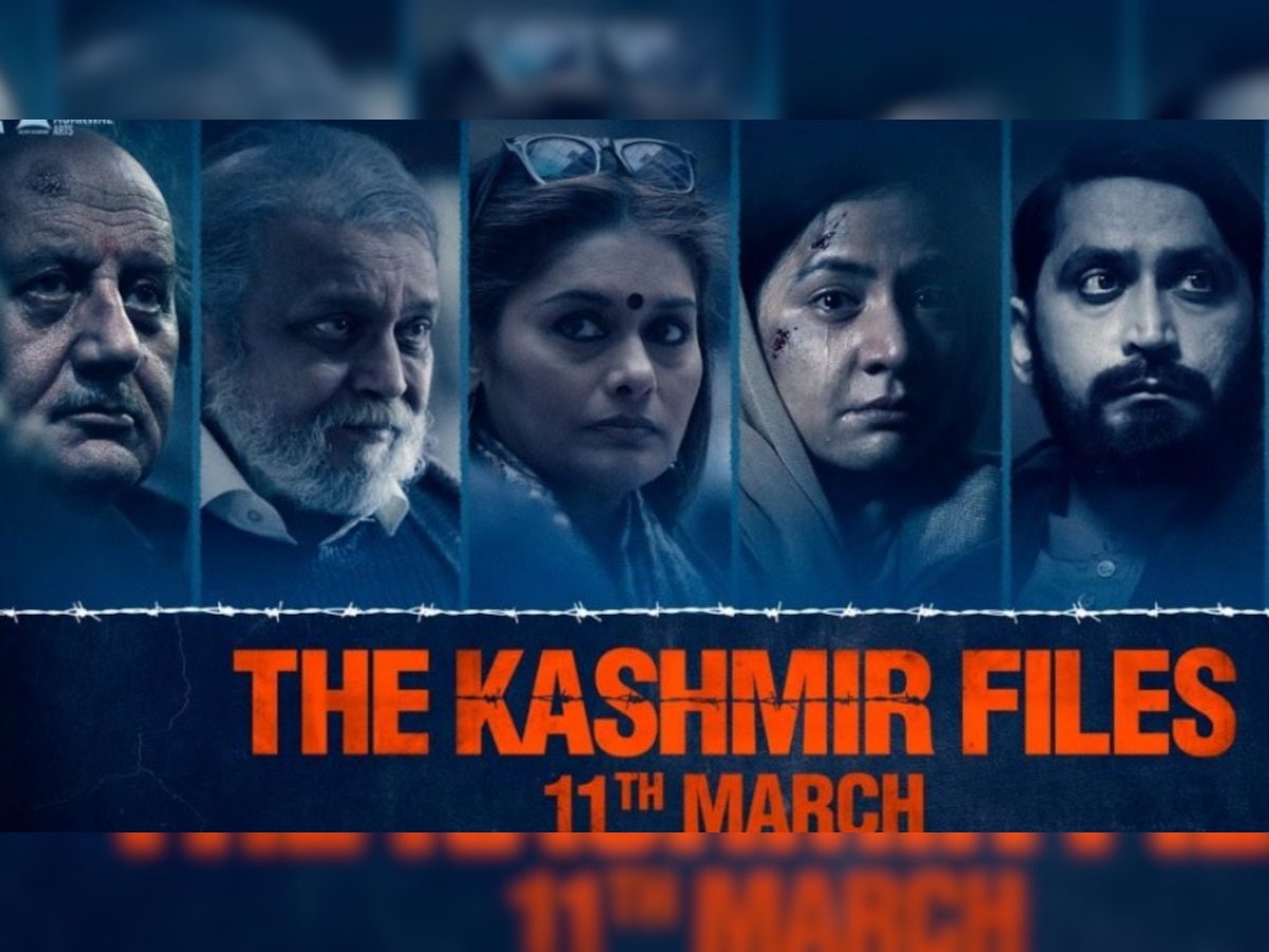  'The Kashmir Files' न्यूझीलंडमध्ये बॅनची मागणी, पण तेथील राजकीय व्यक्तीचा थेट सपोर्ट title=