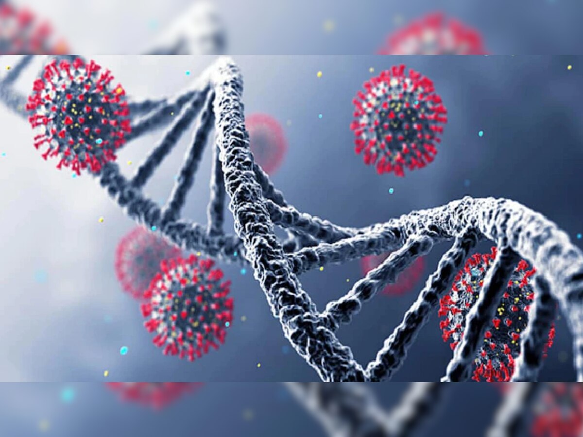 Hybrid Variant : कोरोनाच्या हायब्रिड व्हेरिएंटमुळे चौथ्या लाटेचा धोका? WHO अलर्टवर title=