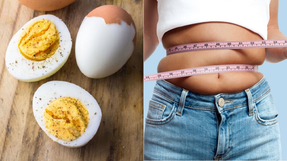 what-should-eat-for-weight-loss-does-egg-is-good-for-weight-loss-know