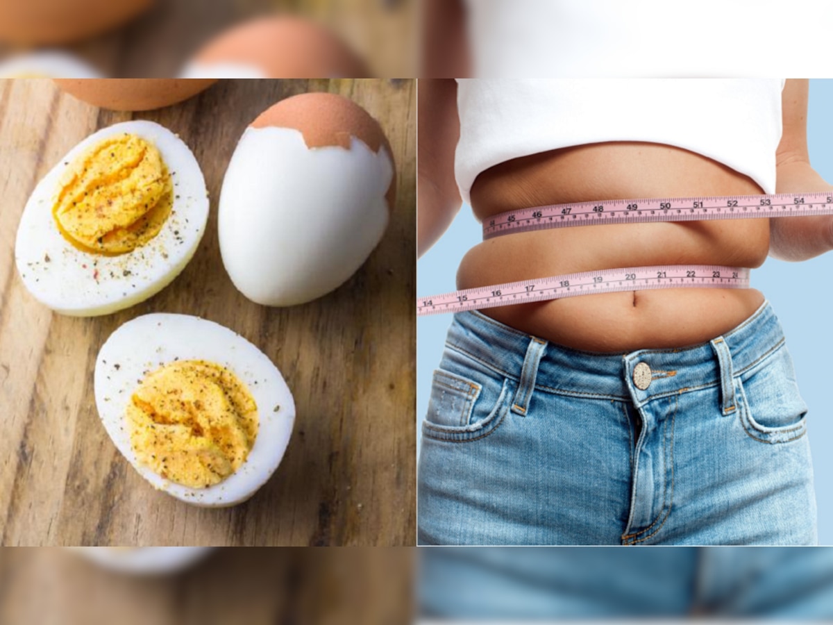 Weight Loss With Egg : अंड्यासोबत 'या' 3 गोष्टी खाल्ल्याने कमी होईल वजन, कसं? जाणून घ्या title=