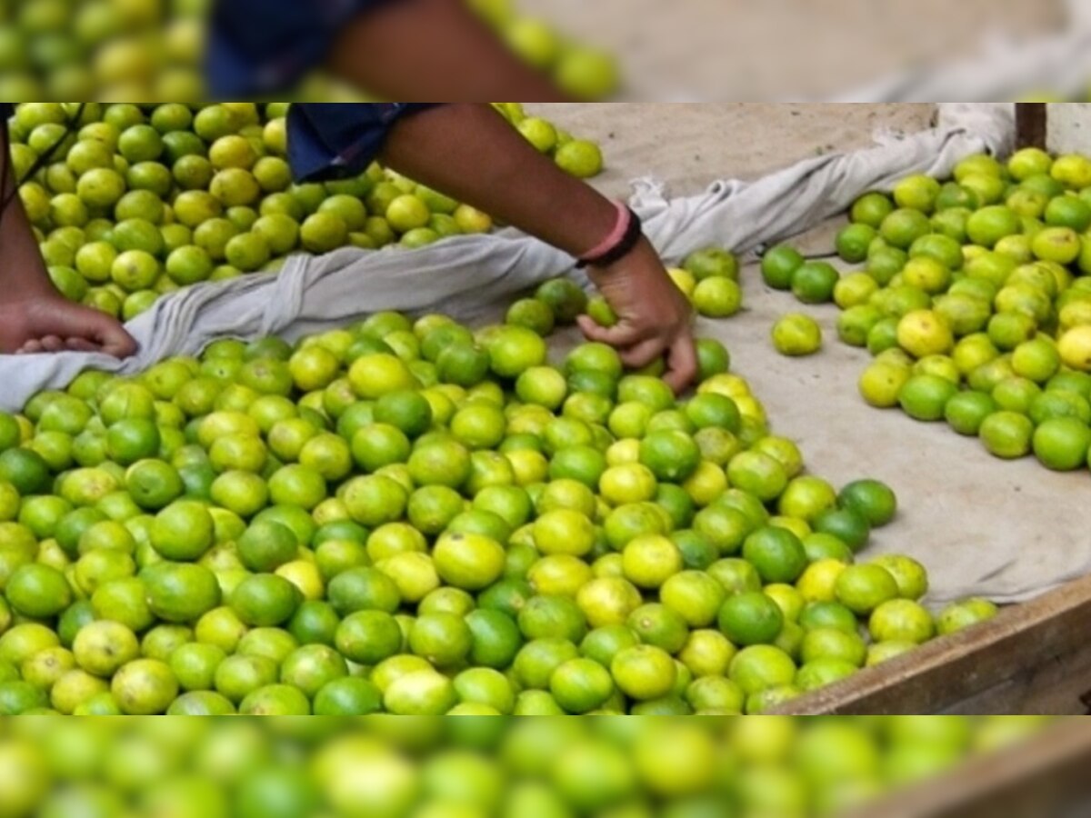 Lemon Inflation | देशभरात लिंबाचे दर भडकले; जाणून घ्या कारण title=