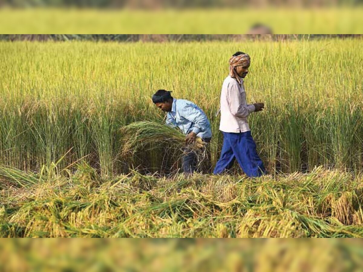 PM KISAN योजनेसाठी 'हे' शेतकरी अपात्र; पुढील हफ्ता खात्यात येणं होणार बंद title=