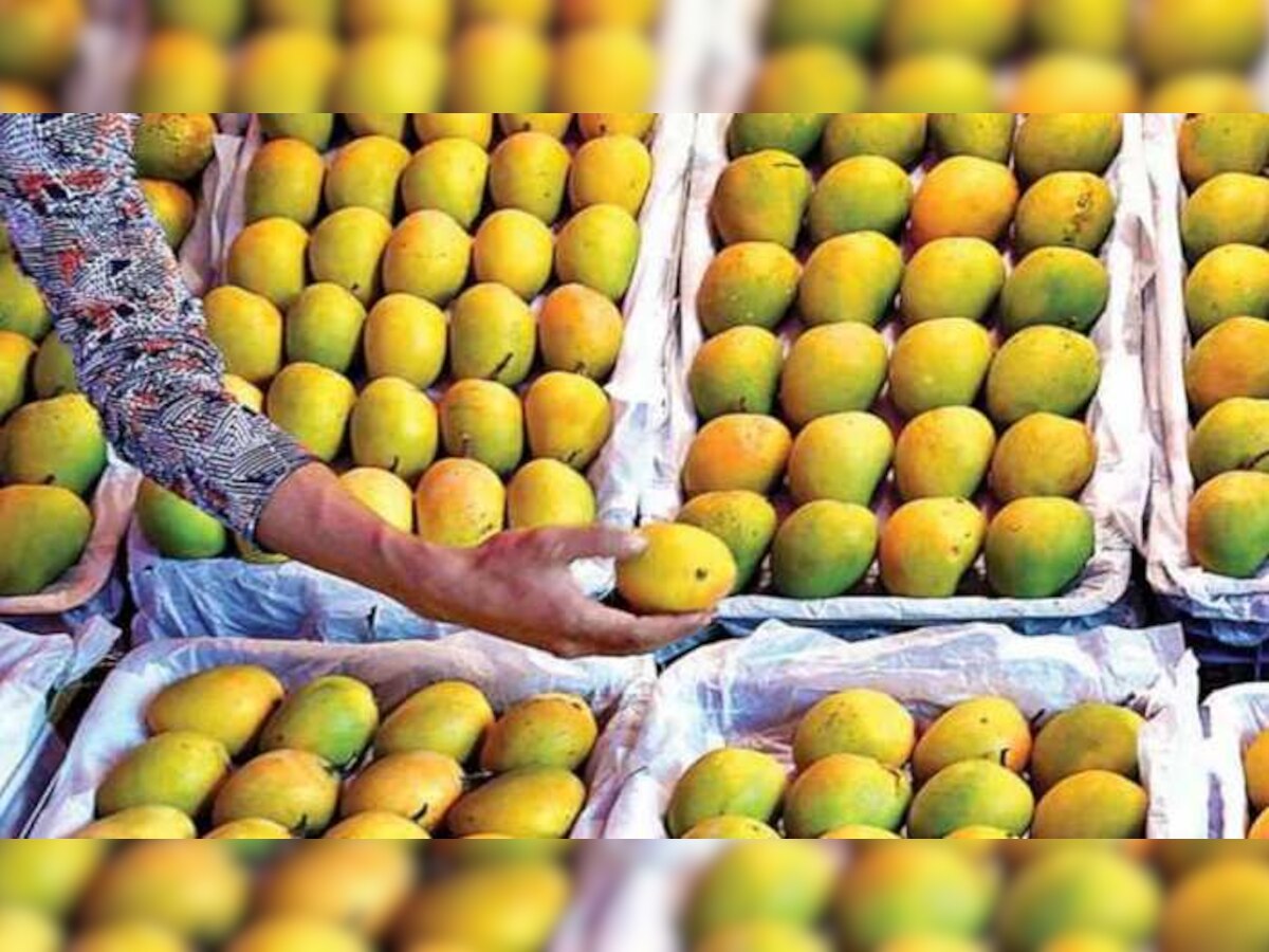 Mango Side Effects: आंबाप्रेमींनो आवडतं म्हणून जास्त खाऊ नका, होतात हे 5 दुष्परिणाम title=